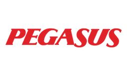 Pegasus